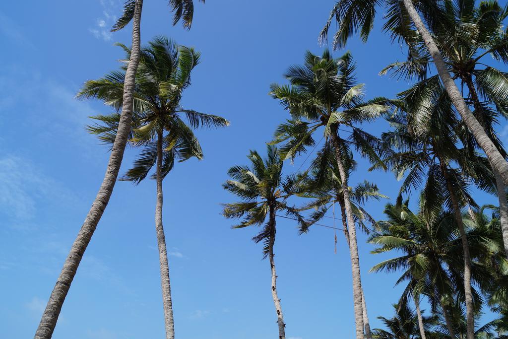 Sri Beach Bungalows And Villa Marawila Esterno foto